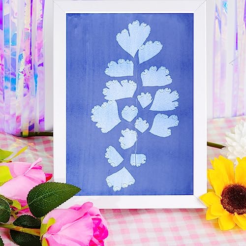 Fumwase 30 Sheets Sun Print Paper Kits Cyanotype Papers Kit A4 Nature Printing Solar Activated Light Sensitive Drawing Photosensitive Printmaking for Fumwase