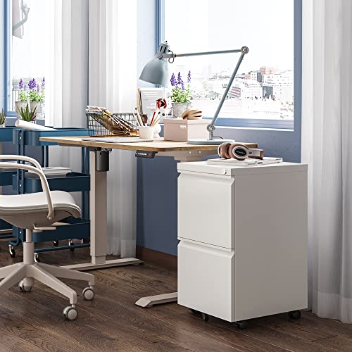 DEVAISE 2-Drawer Mobile File Cabinet with Lock, Commercial Vertical Cabinet, White DEVAISE