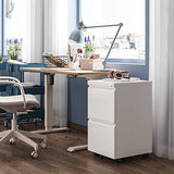 DEVAISE 2-Drawer Mobile File Cabinet with Lock, Commercial Vertical Cabinet, White DEVAISE