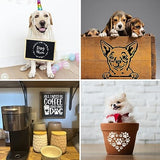 16 Pieces Dog Stencils Dog Paw Print Stencil Love Sunflower Heart Dog Stencils for Painting on Wood Reusable Painting Templates for DIY Crafts Boqon