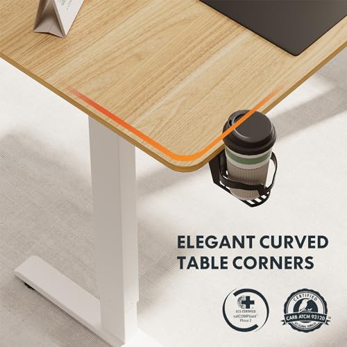 FitStand Adjustable Stand Up Desk with Whole Piece Desk Board, 44 x 24 Inch Electric Standing Desk Home Office Desk Computer Workstation Sit Stand FitStand