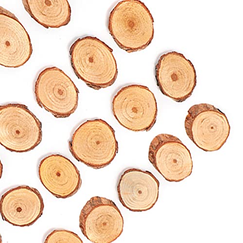25Pcs Wood Slices Craft Oval Unfinished Wood kit Predrilled with Hole Wooden Circles for Arts Wood Slices Christmas Ornaments DIY Crafts LIZEALUCKY