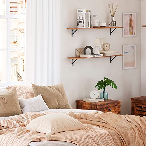 DINZI LVJ Long Wall Shelves, 31.5 Inch Wall Mounted Shelves Set of 2, Easy-to-Install, Wall Storage Ledges with Sturdy Metal Brackets for Living DINZI LVJ