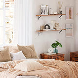 DINZI LVJ Long Wall Shelves, 31.5 Inch Wall Mounted Shelves Set of 2, Easy-to-Install, Wall Storage Ledges with Sturdy Metal Brackets for Living DINZI LVJ