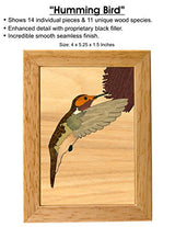 MarqArt Hummingbird Wood Art Gift Trinket Box & Jewelry Boxes - Handmade USA - Unmatched Quality - Unique, No Two are the Same - Original Work of MarqArt