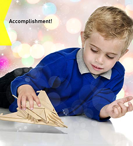 Puzzled 3D Puzzle Stealth Bomber Wood Craft Construction Model Kit, Fun & Educational DIY Wooden Toy Assemble Model Unfinished Crafting, Hobby Puzzle Puzzled