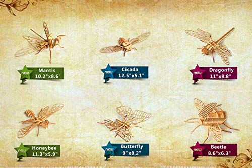 3D Wooden Insect Puzzle Set - 6 Engaging Models for DIY Assembly and Educational Fun i-CHONY