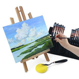 Transon Art Paint Brush Kit 16 Paint Brushes with Foam Brush Sponge Spatula and Brush Case for Oil, Acrylic, Watercolor, Gouache, Painting Black TRANSON