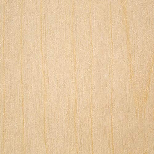 Baltic Birch Plywood, 3 mm 1/8 x 8 x 8 Inch Craft Wood, Bag of 8 B/BB Grade Baltic Birch Sheets, Perfect for Laser, CNC Cutting and Wood Burning, by Woodpeckers