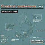 RoWood 3D Wooden Puzzle, Classical Mechanical Model Kit to Build, Best Gift for Teens Adults - Gramophone RoWood