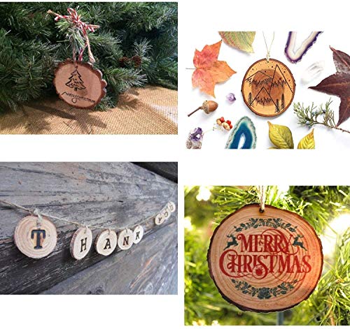 Unfinished Natural Wood Slices 25 Pcs 3.1-3.5 inch Wood Coaster Pieces Craft Wood kit Predrilled with Hole Wooden Circles Great for Arts and Crafts William Craft