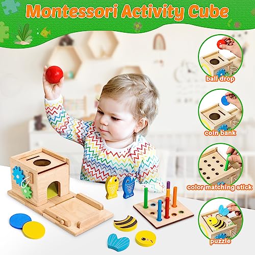 Pidoko Kids Montessori Toys for 1 Year Old - Wooden Object Permanence