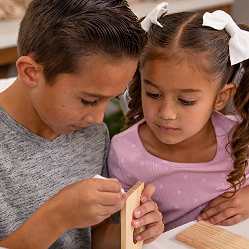 Hapinest Build and Paint a Wooden Birdhouse Kit for Kids - Woodworking Crafts for Children Ages 5 6 7 8 9 10 11 12 Years and Up - WoodArtSupply