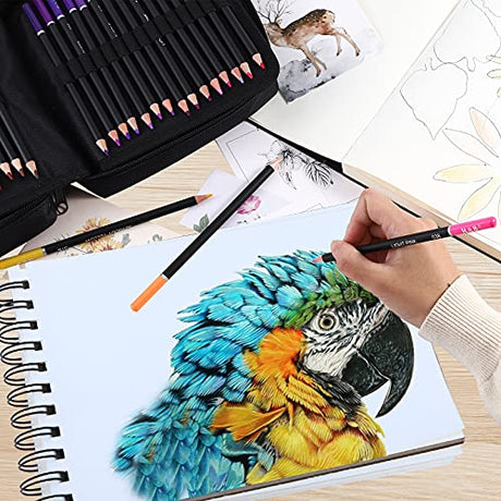 122 Colored Pencils Kit,Oil Based Soft Core, Professional Color Drawing Set with Case Sharpener,Sketching Layering Blending,Art Set & Supplies for H & B