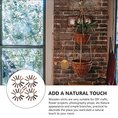 EXCEART 50pcs Natural Stick Birch Tree Sticks Wood Candy Sticks Jumbo Craft Sticks Wood Pop Sticks Wooden Fan Sticks Mini Fence Sticks DIY Wood Toy EXCEART