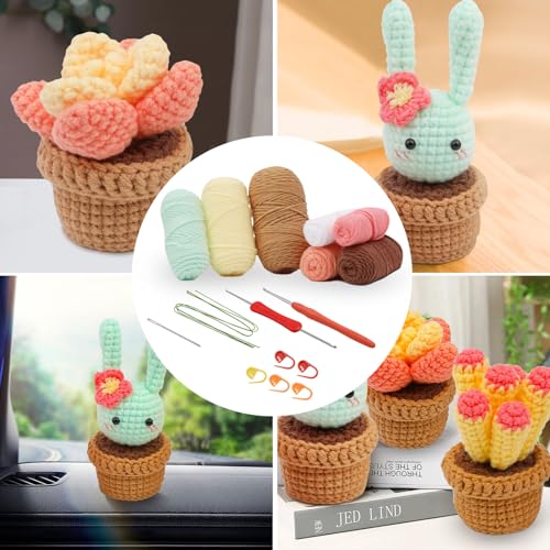 Dasonwin Crochet Kit for Beginners,Crafts for Adults,Knitting kit with Step-by-Step Video Tutorials,Complete Green Cactus Adult Crafts (B) Dasonwin