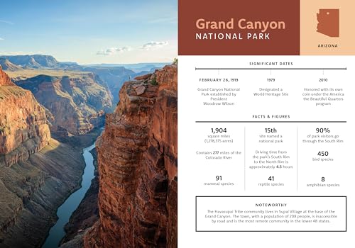 Paint by Number Kit National Parks: Capture America's Most Beautiful Places! Kit Includes: 5 Paint by Number Canvases, 10 paint colors, Paintbrush, WoodArtSupply