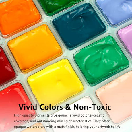 HIMI Gouache Paint Set, 24 Colors x 30ml/1oz with 3 Brushes & a Palette, Unique Jelly Cup Design, Non-Toxic, Guache for Canvas Watercolor Paper - ABEIER