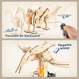 Dinosaur STEM Kits for Kids Ages 6-8-10-12, 4 in 1 Stem Projects, Wood Building Toys for Boys Age 8-12, Build It Yourself Woodworking Kit, DIY 3D Yutin