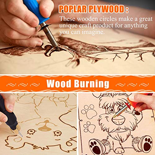 Round Wood Discs for Crafts, Audab 5 Pack 14 Inch Wood Circles Unfinished Wood Rounds Plaque for Door Hanger, Door Design, Wood Burning Audab