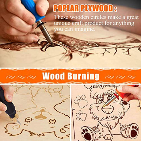 Round Wood Discs for Crafts, Audab 5 Pack 14 Inch Wood Circles Unfinished Wood Rounds Plaque for Door Hanger, Door Design, Wood Burning Audab