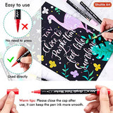 Shuttle Art 60 Colors Dual Tip Acrylic Paint Markers, Brush Tip and Fine Tip Acrylic Paint Pens for Rock Painting, Ceramic, Wood, Canvas, Plastic, Shuttle Art