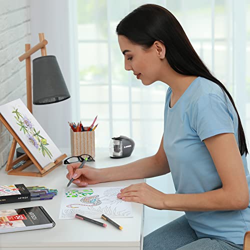 ARTEZA Felt Tip Pens, Set of 24 Landscape Brush Tip Calligraphy Pens for Note Taking, Sketching, Cross-Hatching, Outlining, Dye-Based Ink, Smear-Free ARTEZA