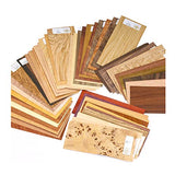 Wood Identification Kit Sauers