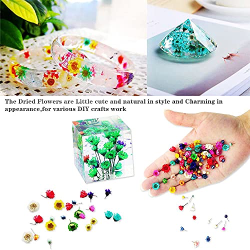 CellLuck Resin Decoration Accessories Kit for Beginners,UV Resin Jewelry Making Kit with Resin Glitter, Foil Flakes, Dried Flowers for DIY Crafts CellLuck