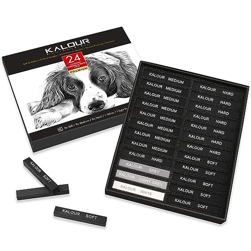 KALOUR 24 Pro Charcoal Drawing Set - Soft,Medium,Hard Charcoal and White Charcoal - Charcol Sticks for Drawing Sketching Shading - Art Supplies Gift - WoodArtSupply