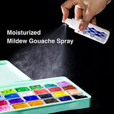 HIMI Gouache Paint Set, 41 Pcs Professional Art Painting Supplies Set with HIMI 24 Paints, 6 Paint Brushes, 2 Canvas Boards, Palette, Paint Knife, Artme