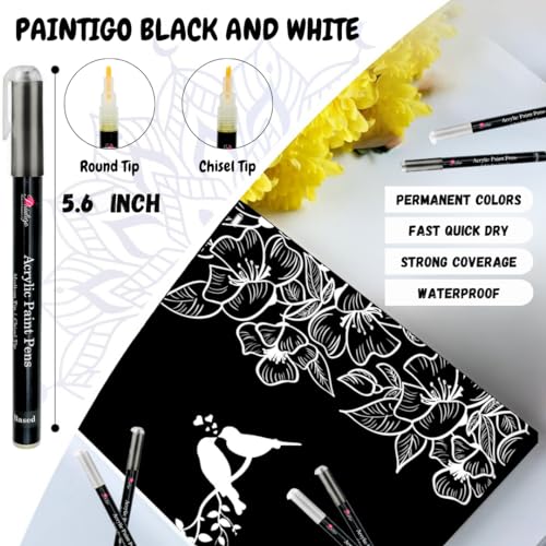 PAINTIGO Acrylic Paint Pens,8 Pack 4 Black 4 White Paint Markers, Paint Pens for Rock Painting Stone Ceramic Glass Wood Plastic Glass Metal Canvas,Dra