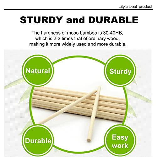 HOPELF 50PCS Dowel Rods Wood Sticks Wooden Dowel Rods - 1/4 x 6 Inch Bamboo Sticks - for Crafts，Hardwood Dowel Rod Assortment，Wooden Rod Sticks HOPELF