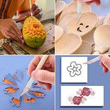 2 Sets Mini Hobby Saw Blades Tools Include 1 Set Mini Hand Hobby Saw Model Tools and 1 Set Precision Cutter Craft Kit Modelling Knife DIY Razor Saw Honoson