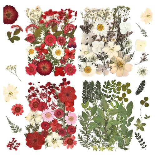 DALARAN 100pcs Red Natural Flowers and Leaves Compressed Dried Flowers for Resin Vacuum Packed DIY Dried Flowers for Epoxy Jewelry Candles Soap Nail DALARAN