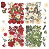 DALARAN 100pcs Red Natural Flowers and Leaves Compressed Dried Flowers for Resin Vacuum Packed DIY Dried Flowers for Epoxy Jewelry Candles Soap Nail DALARAN