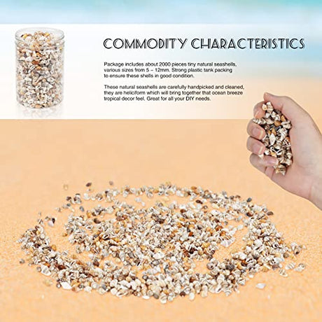 Weoxpr 2000 Pcs Tiny Sea Shells for Crafting,Mixed Ocean Beach Mini Seashells Bulk for Home Decorations,Beach Theme Party, Small Shells for Craft, WEOXPR