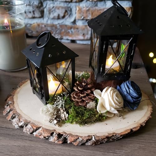 Wilson Basswood Round/Oval Plaque - Bulk Quantity Value Box Wood Slices, Medium 7-9" D (Pack of 10) Wilson