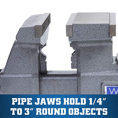 Wilton Reversible Bench Vise, 6-1/2" Jaw Width, 7-1/4" & 12-3/4" Jaw Opening, 4" Throat (Model 4650R) Wilton