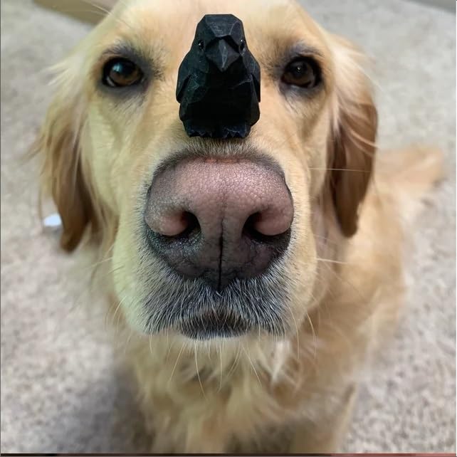 Selsela Raven Black Bird Crow Figurine Statue Sculpture Art Miniature Wood Carving Decor Small Animal Selsela