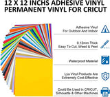 Lya Vinyl Permanent Vinyl for Cricut - 130 Pack 12 "x12 Self Adhesive Vinyl Sheets，120 Vinyl Sheets & 10 Transfer Tape Sheets for Cutting Machines Lya Vinyl