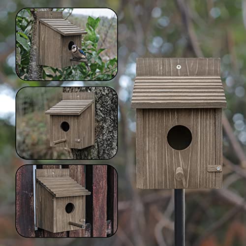 Bird House for Outside with Predator Guard, Nesting Box Birdhouse for Outdoor Wild Bird Watching, Royal Blue - WoodArtSupply