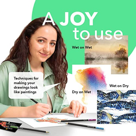 Castle Art Supplies 72 Watercolor Pencils Set | Vibrant Pigments for Blending, Drawing and Painting | For Adults, Hobbyists and Professionals I Castle Art Supplies