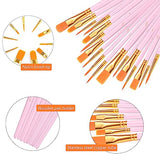 AROIC Acrylic Paint Brushes, 6 Packs/60 pcs Nylon Hair Paint Brush Set for All Purpose Oil Watercolor Painting Artist Professional Kits (Pink) AROIC