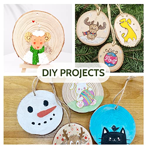 Falling in Art 3.1-4 Inches Natural Wood Slices Set for Crafts - 25Pcs Round Wood Discs with Pre-drilled Hole for DIY Projects, Christmas Ornaments Falling in Art