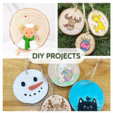 Falling in Art 2.3-3.1 Inches Natural Wood Slices Set for Crafts - 25Pcs Round Wood Discs with Pre-drilled Hole for DIY Projects, Christmas Ornaments Falling in Art