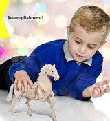 3D Puzzles - Horse Puzzled