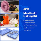 Specialty Resin & Chemical Cast-A-Mold Platinum (2-Gallon Kit) | Silicone Mold Making Kit | Food Grade Platinum-Cured Silicone Rubber | 2-Part DIY SPRESIN