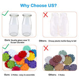 Crafts for Girls Ages 4-12 Gift Make Your Own Flower Bouquet with Buttons Felt Flowers, Christmas gift Vase Art and Craft for Children - DIY Activity HULASO