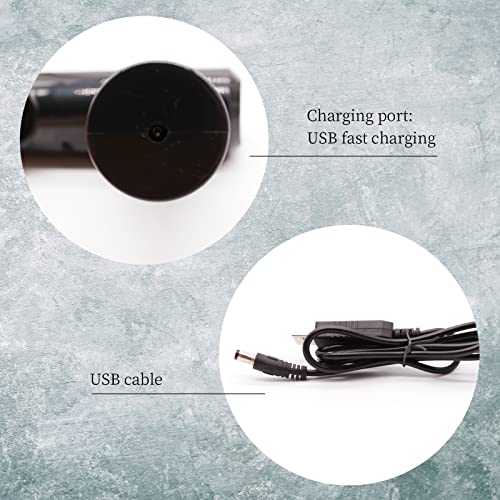 3T GROUP Mini Disinfectant Spray Gun Nano Sprayer Sanitizer Gun Alcohol Nano Spray Gun Electric Atomizer Spray Bottle Gun Mist Sprayer Gun Fogger 3T GROUP